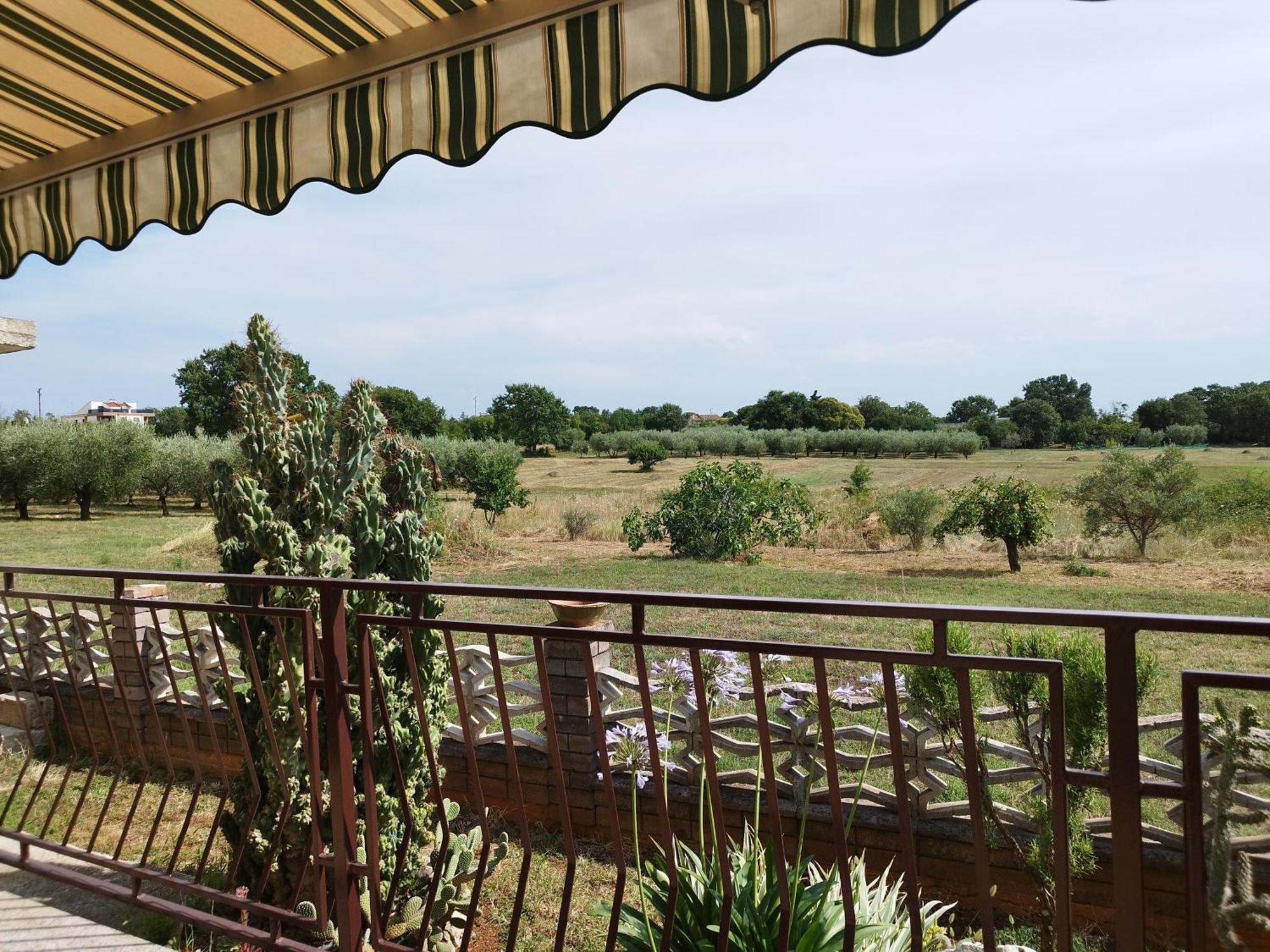 Appartement Ilona