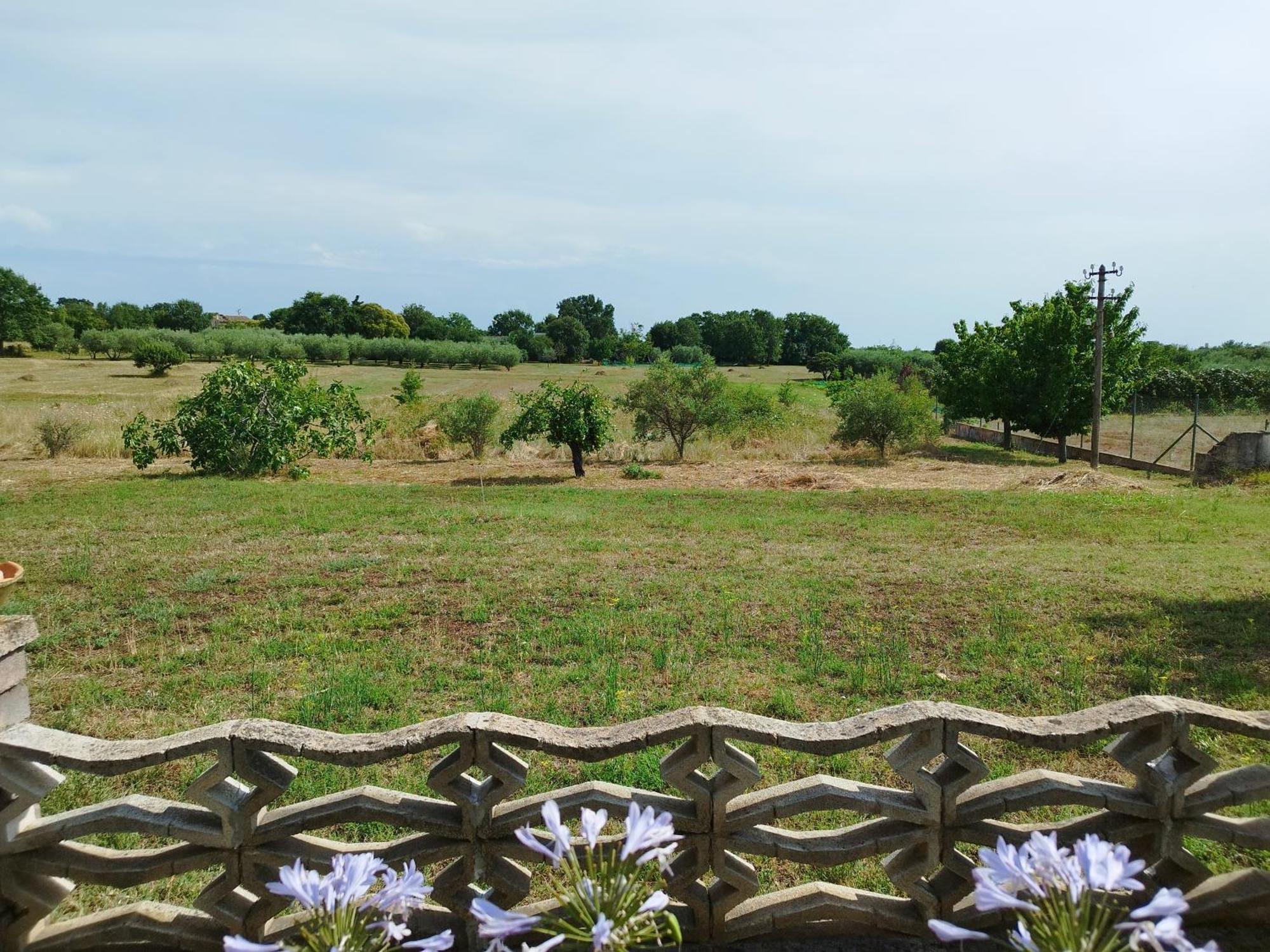 Appartement Ilona